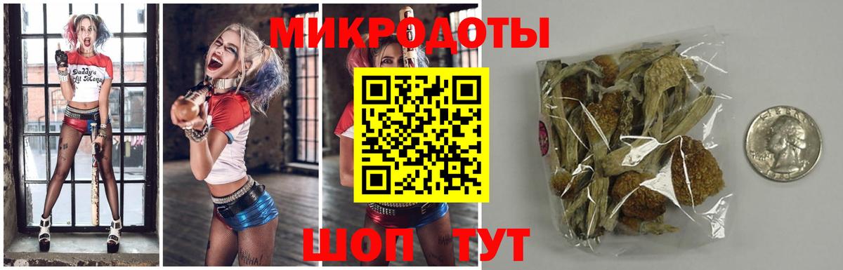 Камень-на-Оби  Псилоцибиновые грибы Psilocybine cubensis  Вход с VPN 